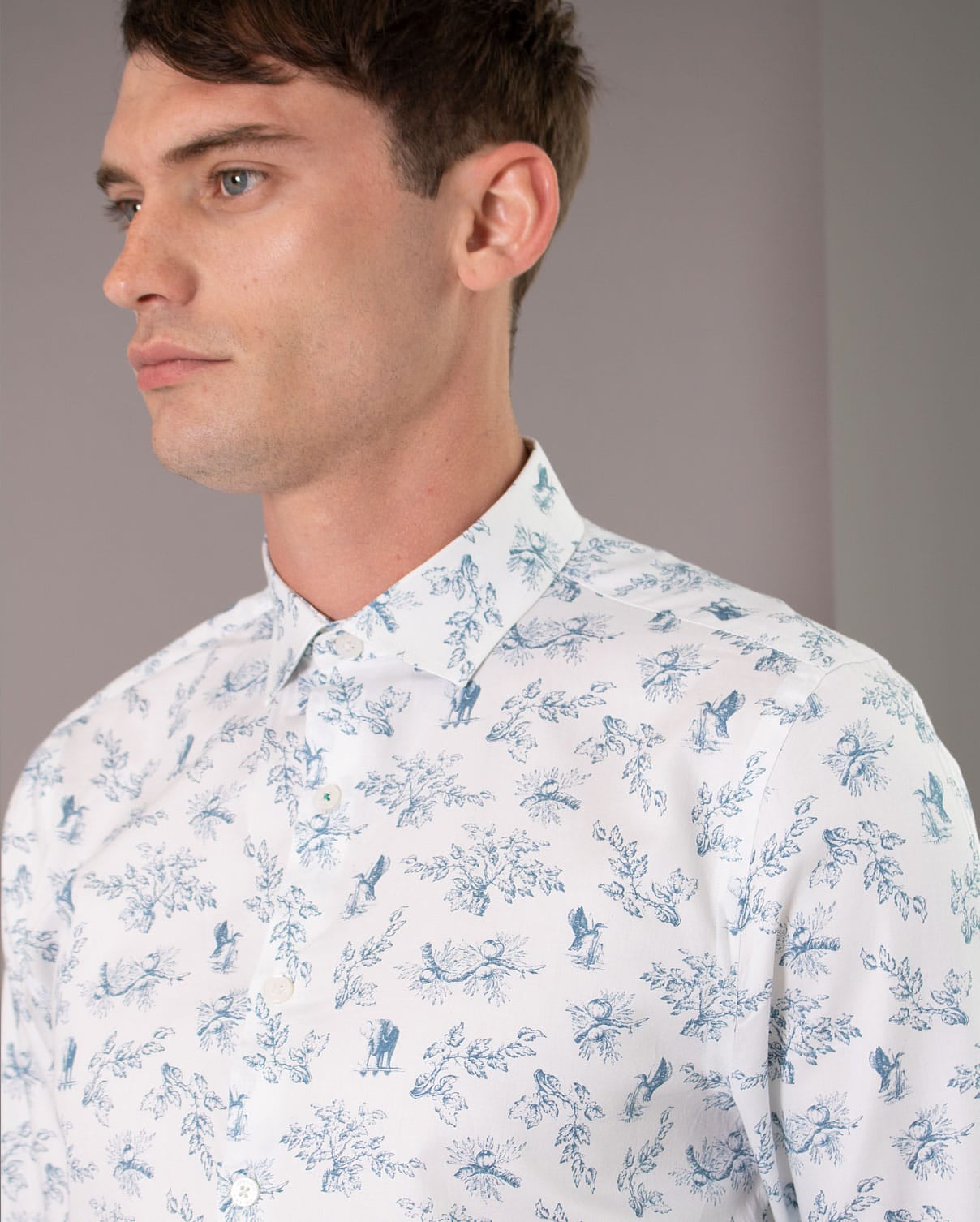 Limited Edition Toile Animal Print Long Sleeve Shirt