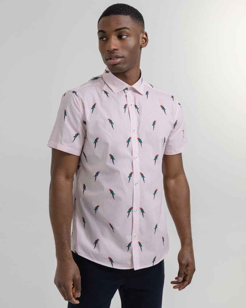 Limited Edition Stripe Parrot Print Short Sleeve Shirt