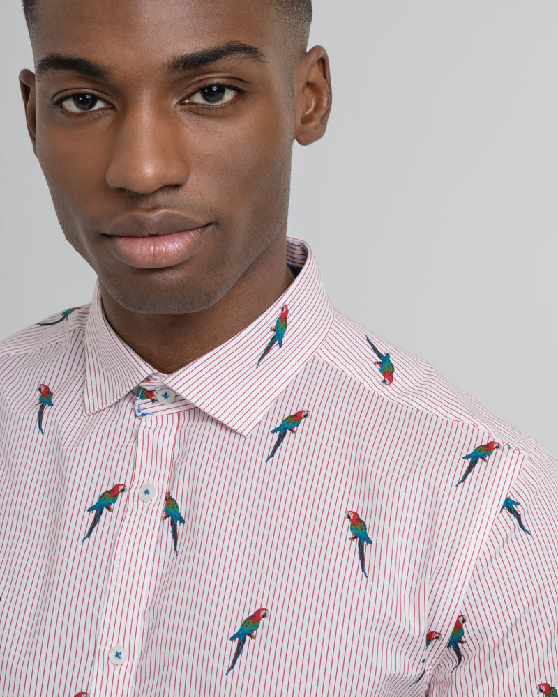 Limited Edition Stripe Parrot Print Short Sleeve Shirt